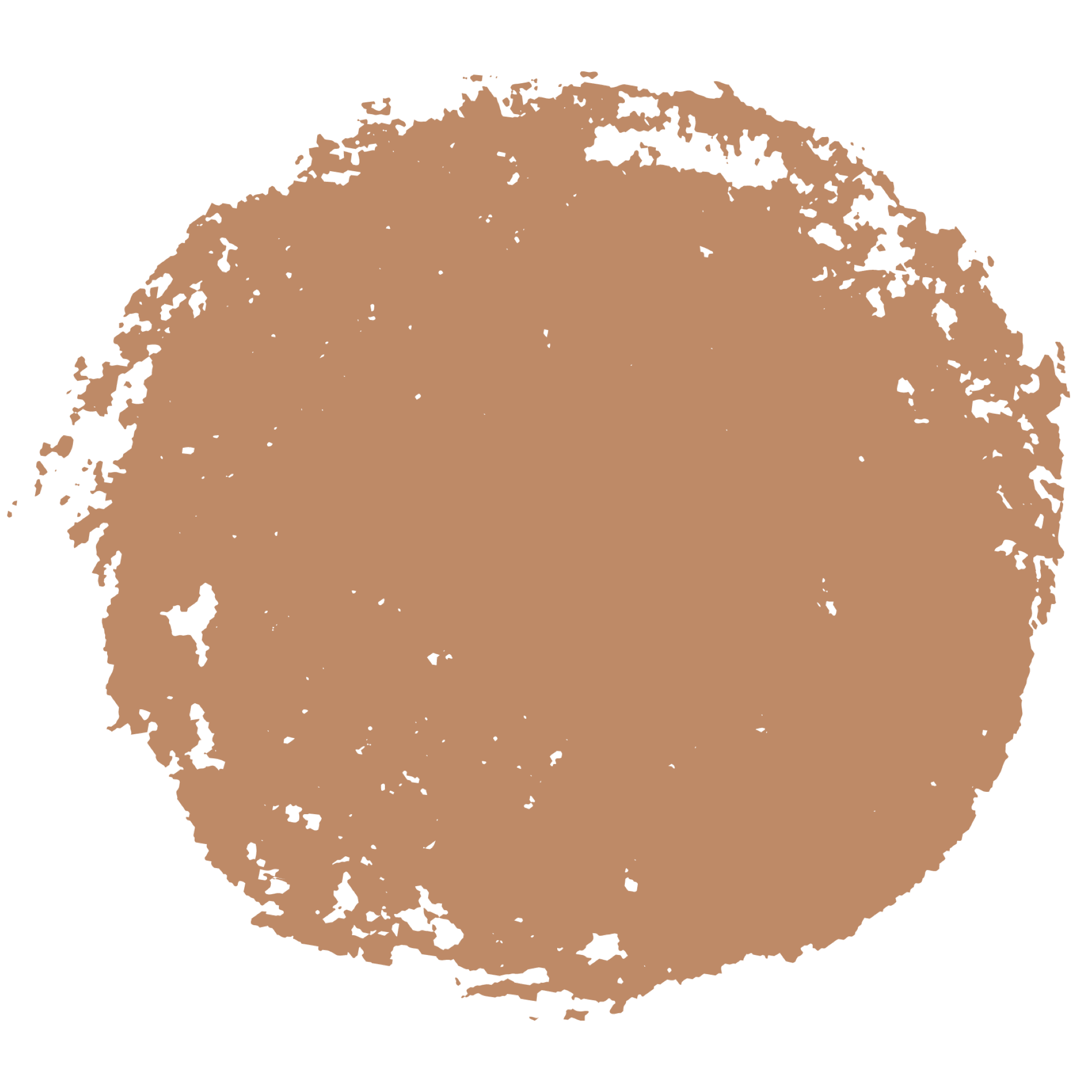 Fotografin Kinder- und Familienfotografin Nürnberg