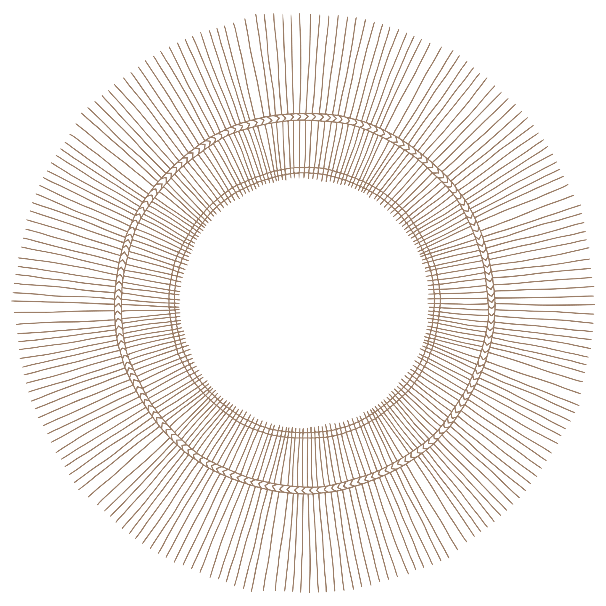 Familienfotos in Nürnberg Kreis